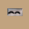 Lash Out